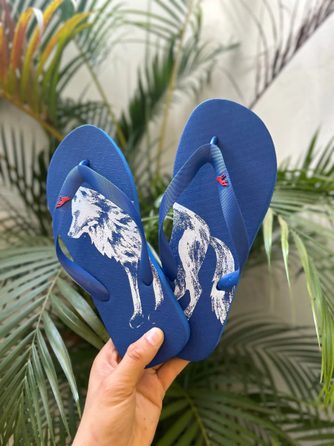 Chinelo Azul Lobao Branco 9022 - Acostamento na internet
