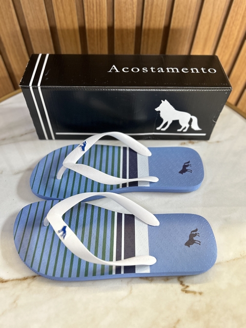 Imagem do Chinelo Listrado Azul Claro 9016 - Acostamento