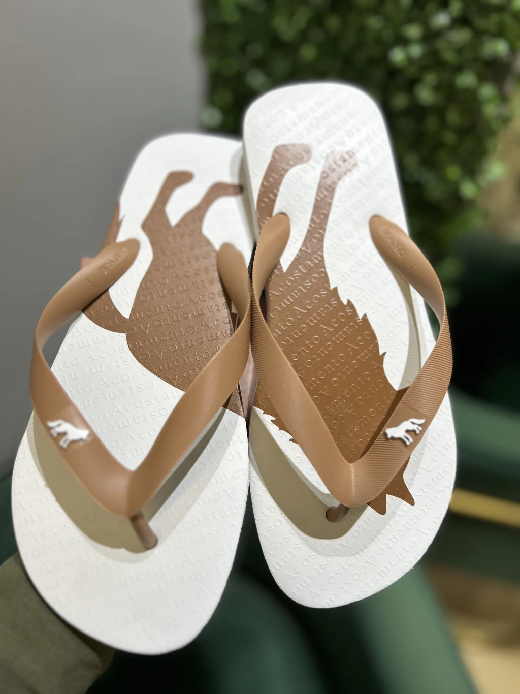 Chinelo Branco Lobao Castanho 9003 - Acostamento - loja online