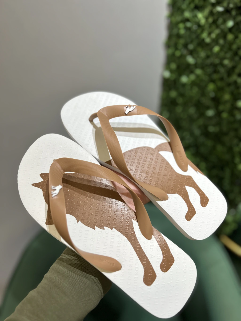 Chinelo Branco Lobao Castanho 9003 - Acostamento - Kamarim Patos