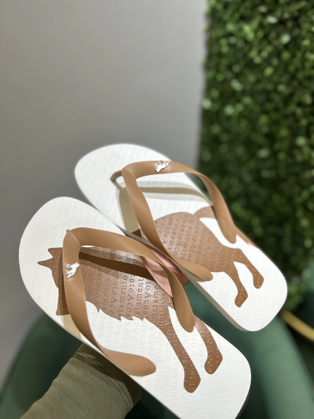 Chinelo Branco Lobao Castanho 9003 - Acostamento na internet