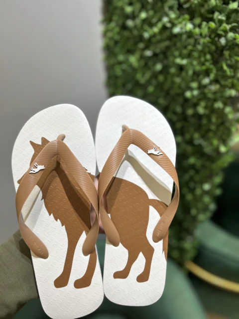 Chinelo Branco Lobao Castanho 9003 - Acostamento