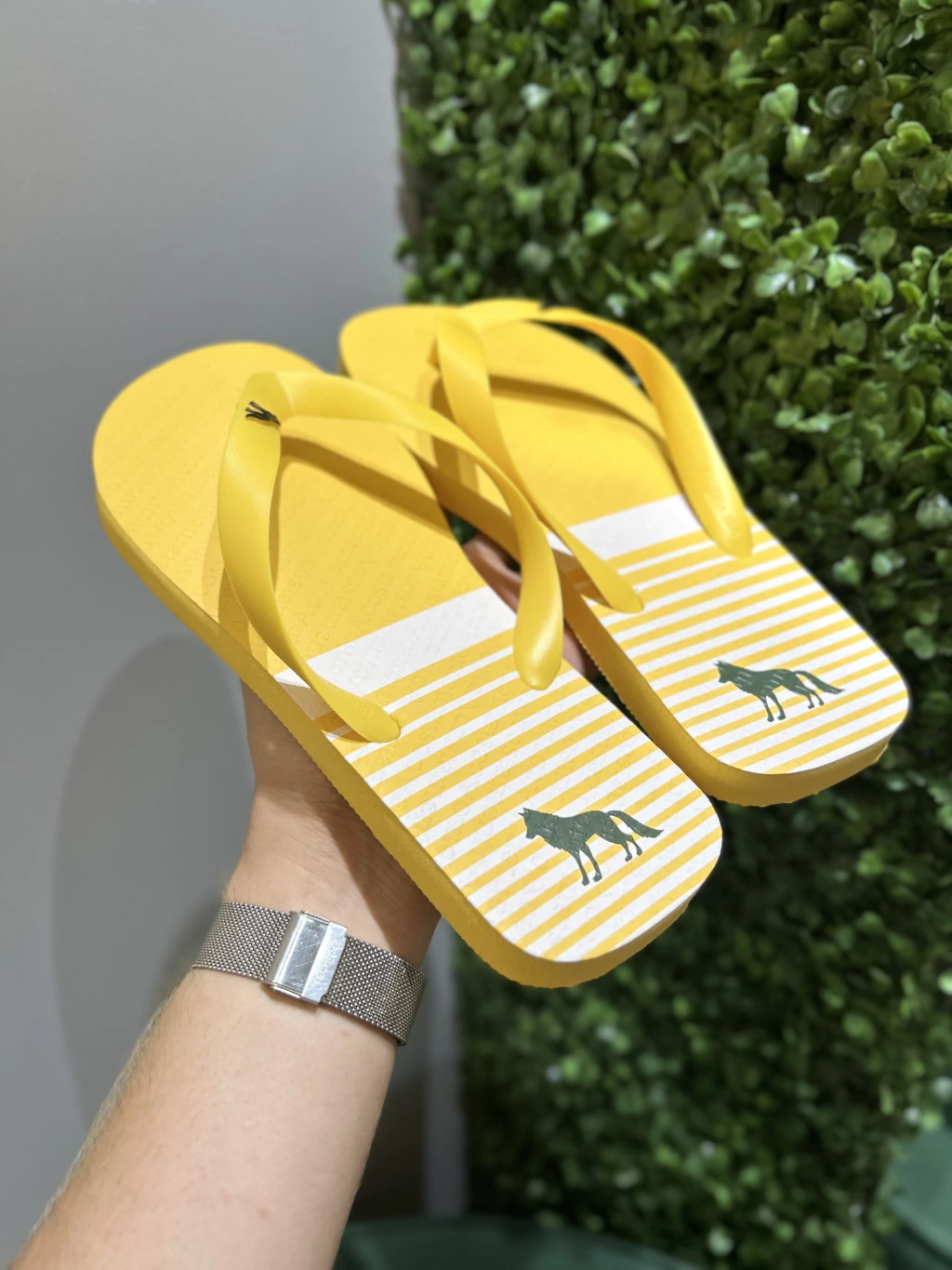Chinelo Amarelo Listra 9014 - Acostamento na internet