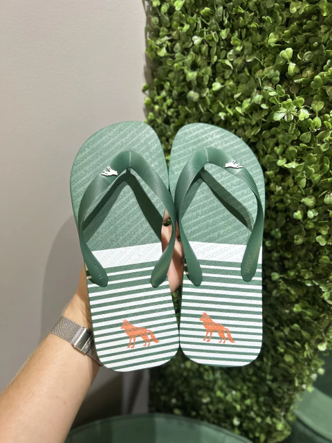 Chinelo Verde Listra 9014 - Acostamento