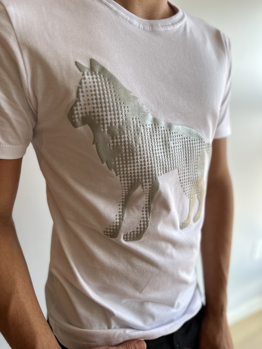 Camiseta Celebretion Lobão Branca 2132 - Acostamento - Kamarim Patos