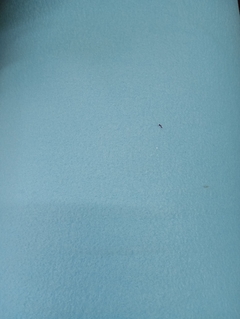 Imagen de Polar nac liso antipiling precio por kilo