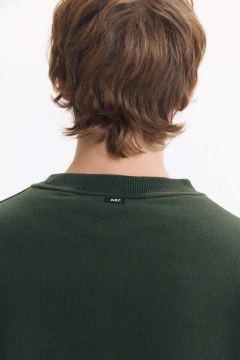 Imagen de Buzo Boy Over Verde Fade