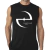 Remera Evanescence