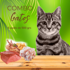 Combo GATOS 6 pack de 500g - comprar online