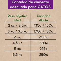 Combo GATOS 6 pack de 500g en internet