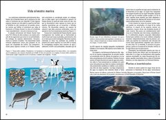 Antarctica. Discovering the Last Continent - tienda online