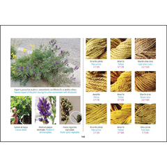 Escondites de Colores (tintes naturales) / Hideouts of Colours - tienda online