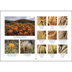 Escondites de Colores (tintes naturales) / Hideouts of Colours - comprar online