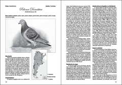 La Fauna Gringa - VM Editores