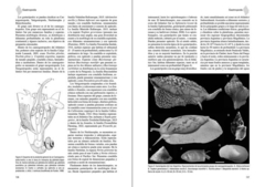 Los Invertebrados Marinos - comprar online