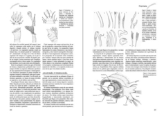 Los Invertebrados Marinos - tienda online