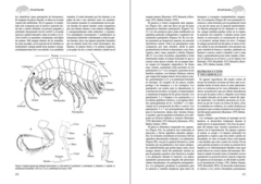 Los Invertebrados Marinos - VM Editores