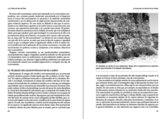 Los Fósiles de Mar del Plata. Un viaje al pasado de nuestra región. - comprar online