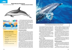 Imagen de Mamíferos Marinos de Patagonia y Antártida