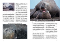 Mamíferos Marinos de Patagonia y Antártida en internet