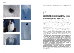 Meteoritos. Restos rocosos del Sistema Solar Primitivo. en internet