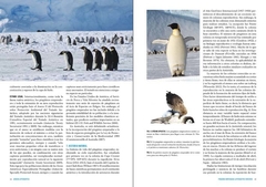 Pingüinos: Historia Natural y Conservación - tienda online
