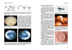 El Naufragio de la HMS SWIFT -1770- Arqueología Marítima en la Patagonia - comprar online