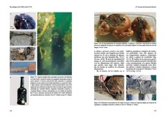 El Naufragio de la HMS SWIFT -1770- Arqueología Marítima en la Patagonia - tienda online