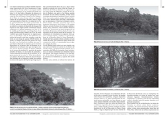 Talares Bonaerenses y su conservación - tienda online