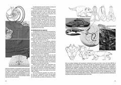 Vida en Evolución. La Historia Natural vista desde Sudamérica - comprar online