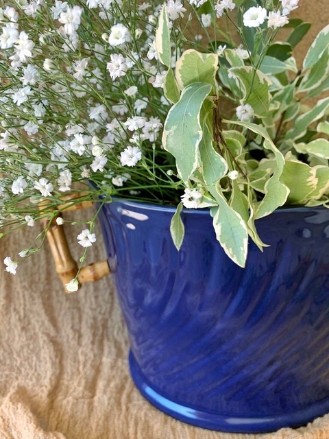 Champagnera Azul