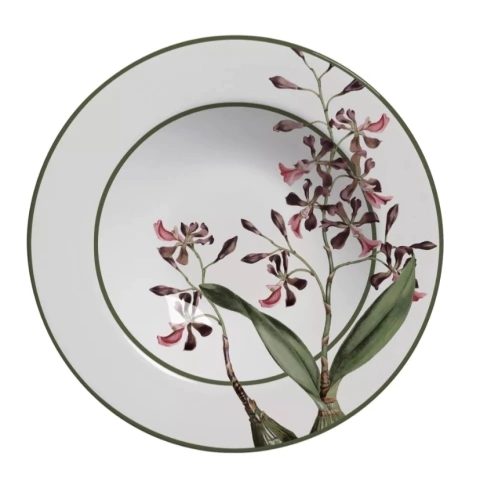 Plato Hondo Orquidea