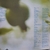 Disco de Vinil LP ANNA SETTON - azul - loja online