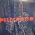 Disco de Vinil LP Zélia Duncan Pelespírito