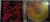 CD Alanis Morissette MTV Unplugged na internet