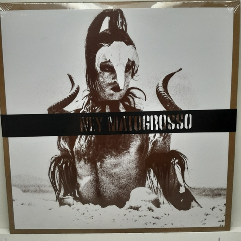 Disco de Vinil LP Ney Matogrosso Água do céu Pássaro