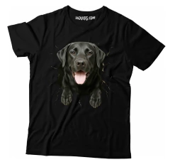 LABRADOR NEGRO en internet