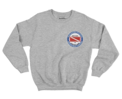 BUZO ARGENTINOS JUNIORS - comprar online