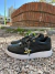 ZAPATILLAS FOX RETRO BLACK SIGNOS en internet