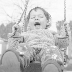 FOMAPAN 200 x 36 – PELÍCULA BLANCO Y NEGRO DE 36 EXPOSICIONES - comprar online