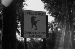 FOMAPAN 400 x 24 – PELÍCULA BLANCO Y NEGRO DE 24 EXPOSICIONES - comprar online