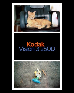 KODAK VISION 3 250D x 36 – PELÍCULA COLOR DE 36 EXPOSICIONES - Oeste Analogico
