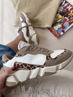 Imagen de CALIFORNIA BLANCA ANIMAL