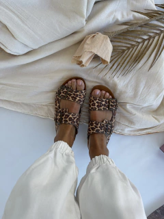 BAHAMAS ANIMAL - tienda online