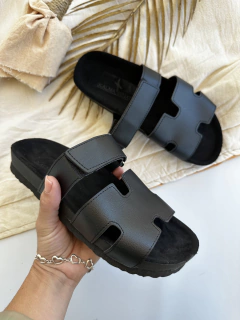 PAVIA NEGRA en internet