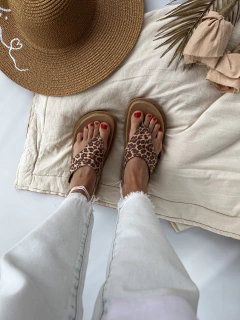 MALLORCA ANIMAL en internet