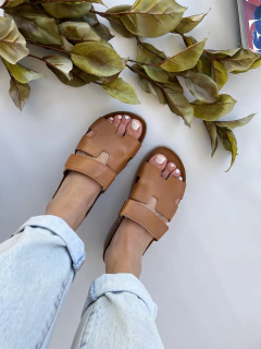 PAVIA TOSTADA en internet