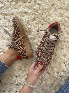 CHICAGO ANIMAL ROJ0 - KALMA INNATA