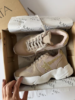 BOLOGNA BEIGE ORO en internet