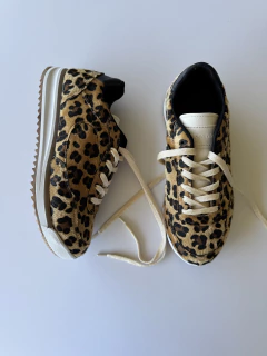 ALICANTE ANIMAL PELO en internet